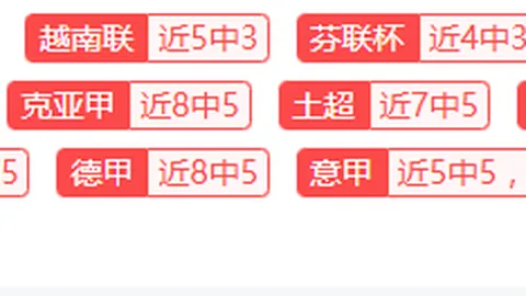 切尔西狂扫南安普顿，恩昆库与内托双响奏凯